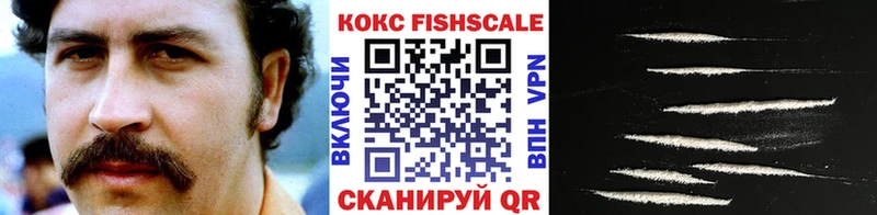 КОКАИН Fish Scale  Бавлы 