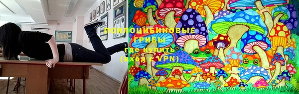 стафф Абаза
